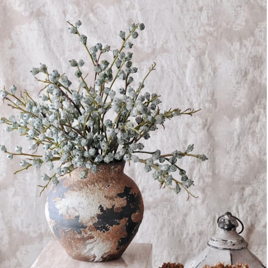 【钻石尤加利果】颜值高夏天家居鲜花