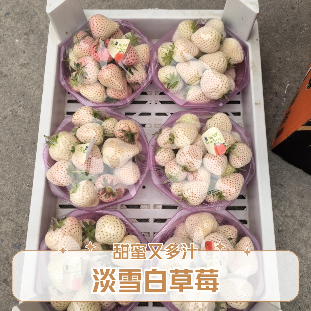 淡雪白草莓 多汁甜润  丹东草莓 一公斤99草莓