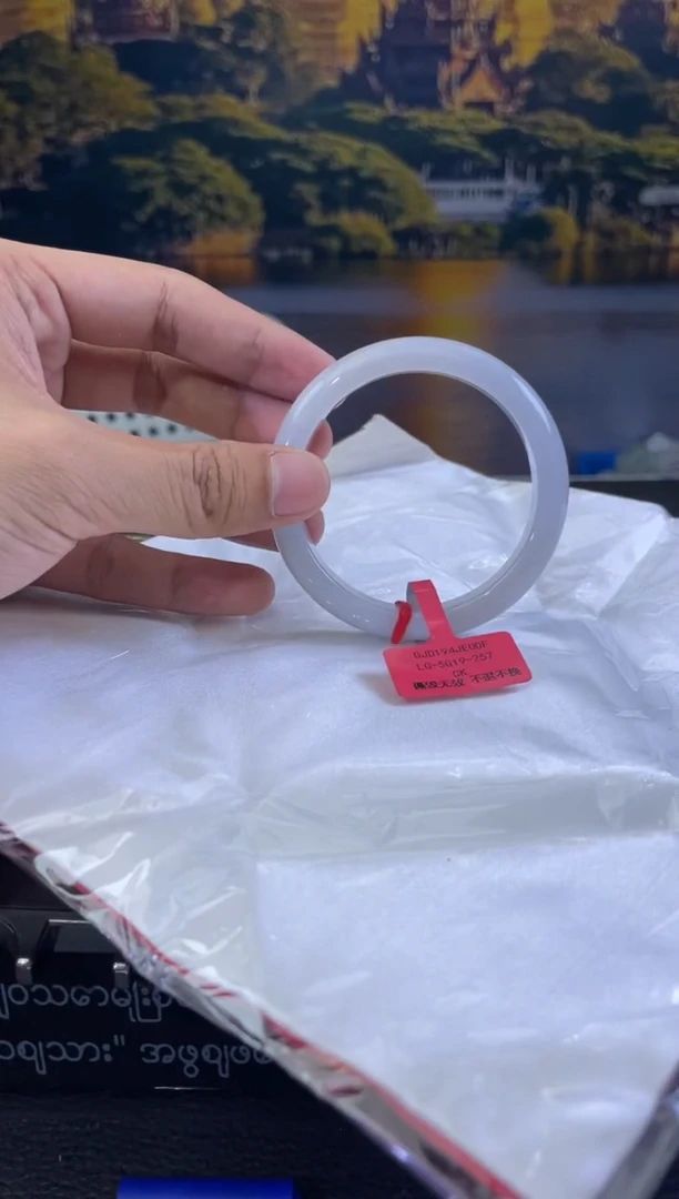 未镶嵌手镯翡翠5