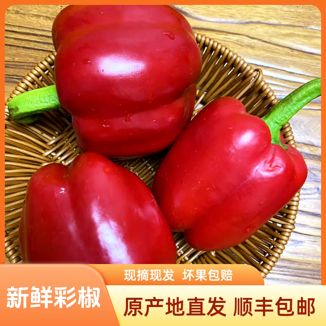 红色彩椒新鲜圆椒五彩椒柿子椒顺丰包邮