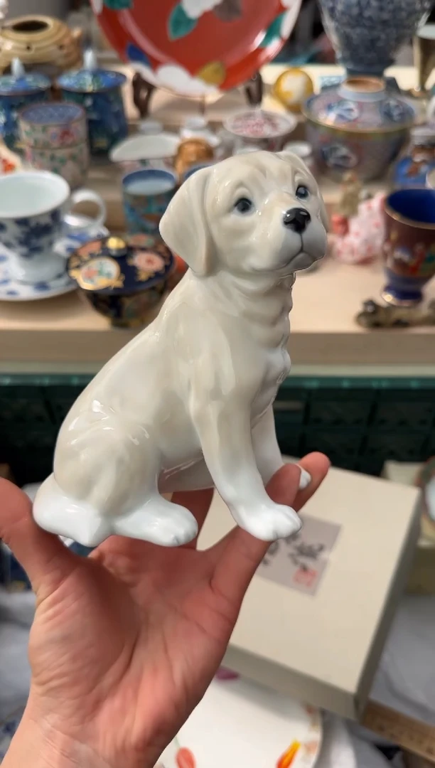 【闪购商品】瓷片AAAAAAAAAAAAA