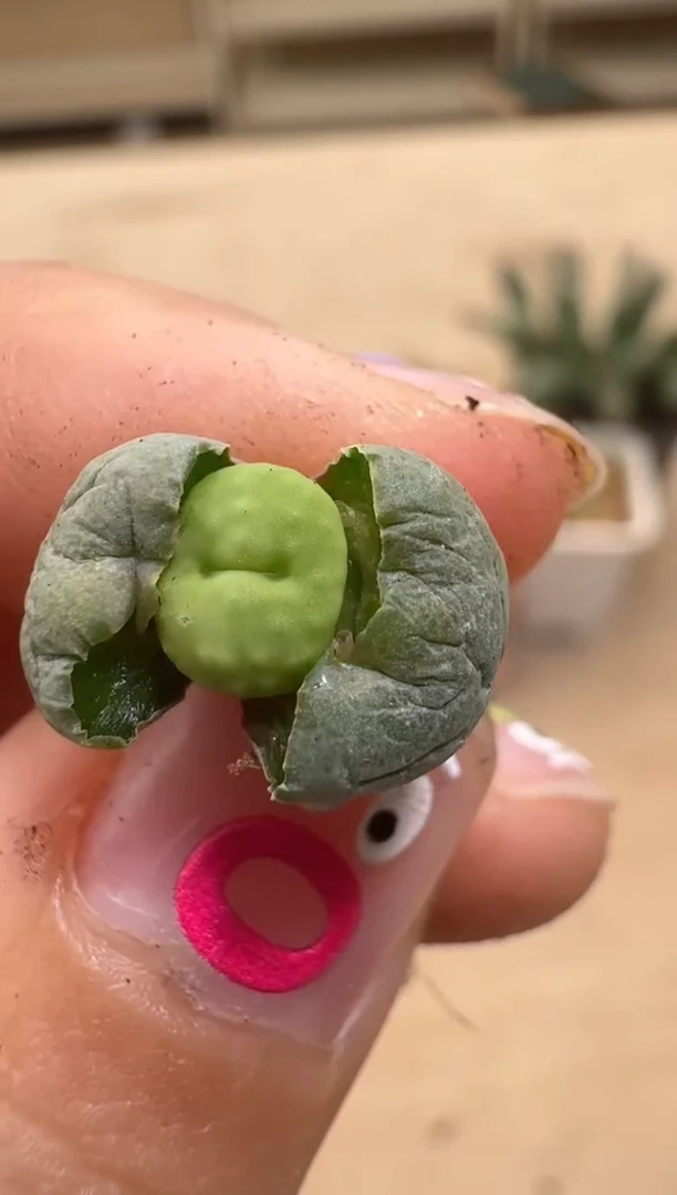 【闪购商品】16-19