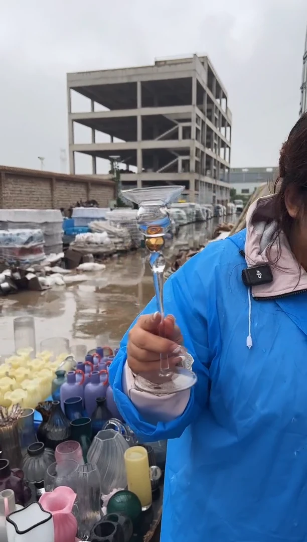 花瓶客厅餐桌插花装饰好物两支