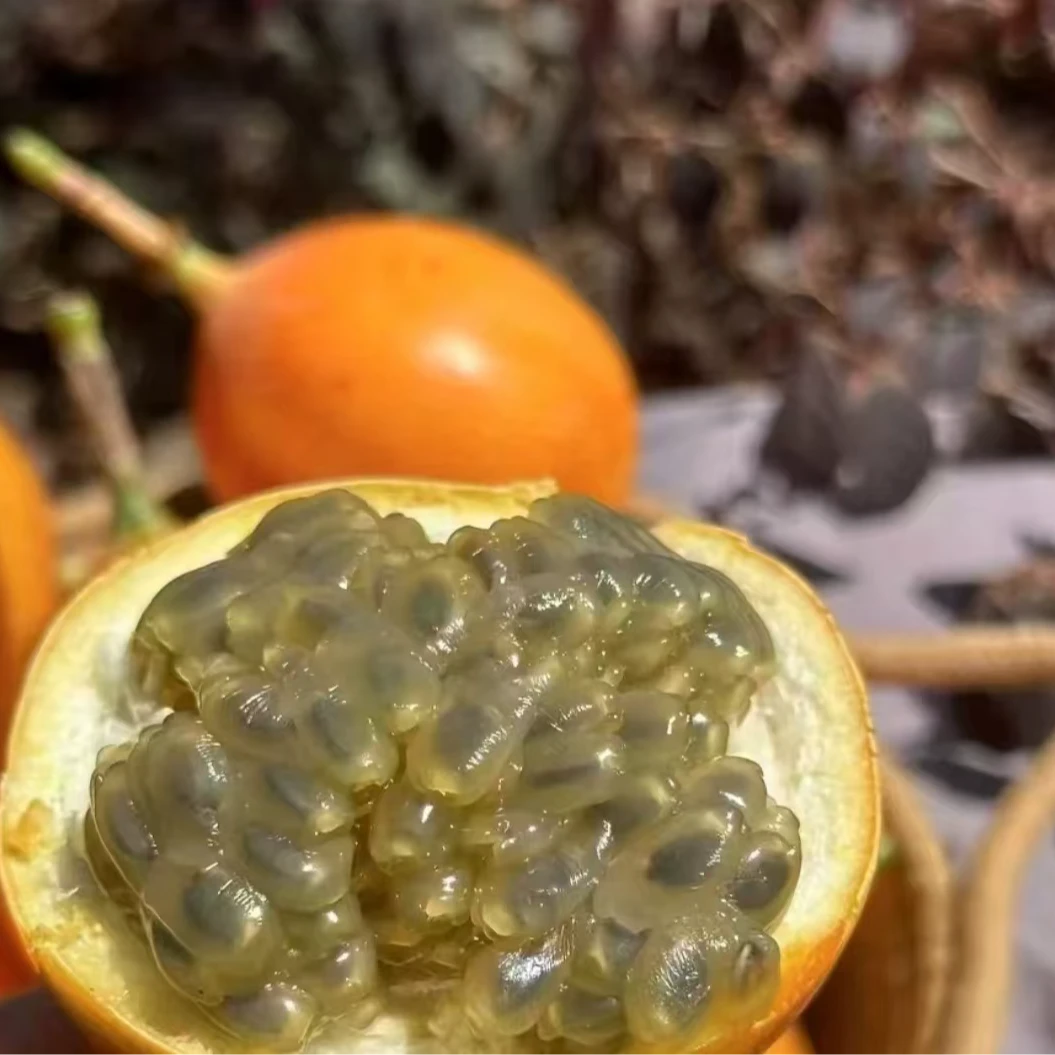 A1云南热情果云南西双版纳热情果稀奇水果纯甜无酸新鲜水果热情果