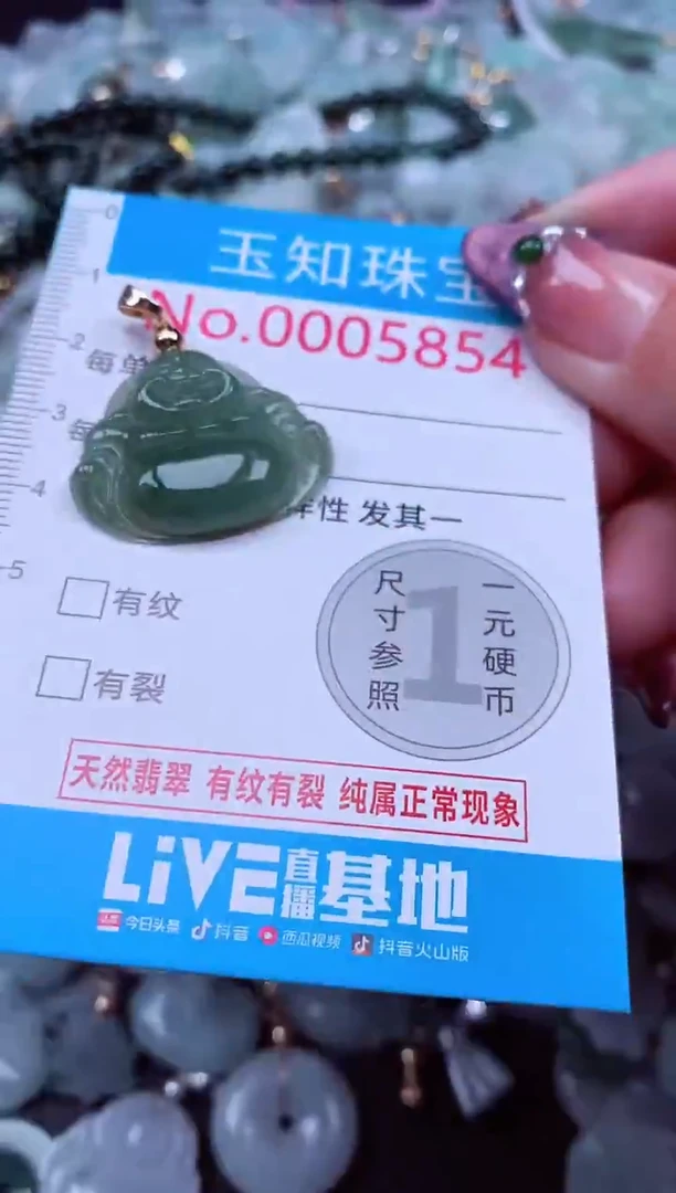 吊坠(不含链)未镶嵌翡翠854