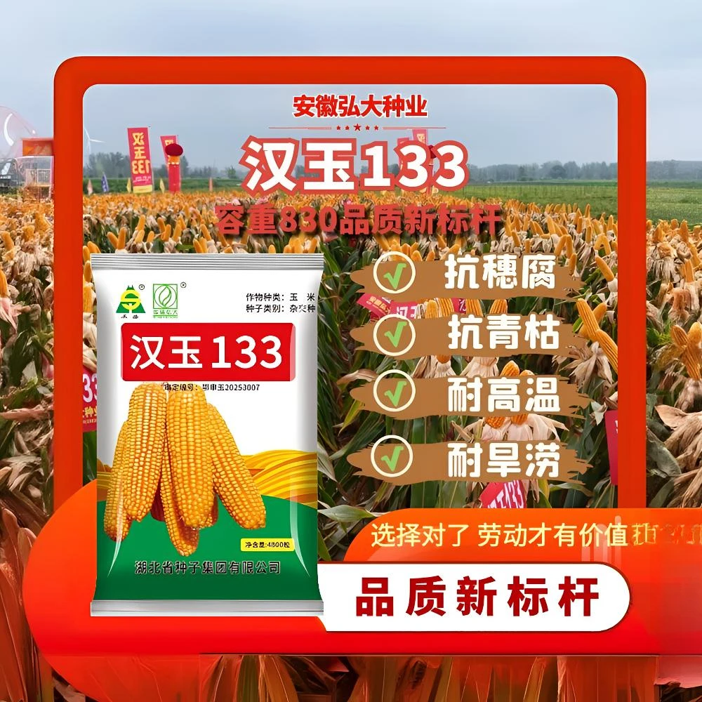【汉玉133容重830】  抗穗腐抗青枯耐高温高产玉米种（限量示范）