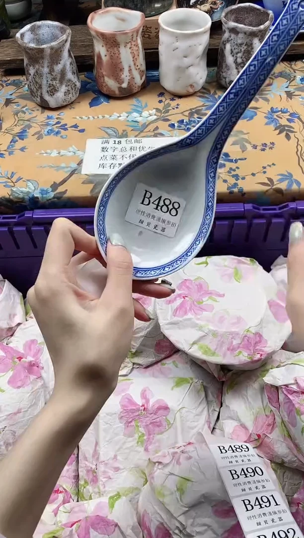 瓷片乌***式 B488