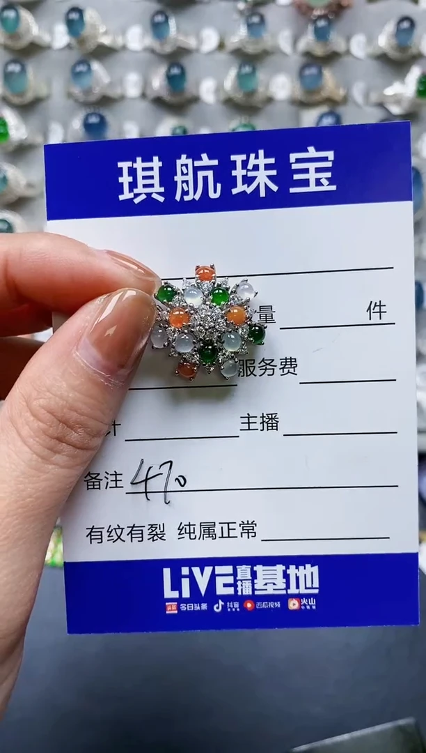 【闪购商品】翡翠颈饰银S925镶嵌0470