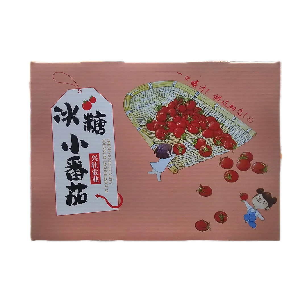 冰糖小番茄整箱 净果1kg