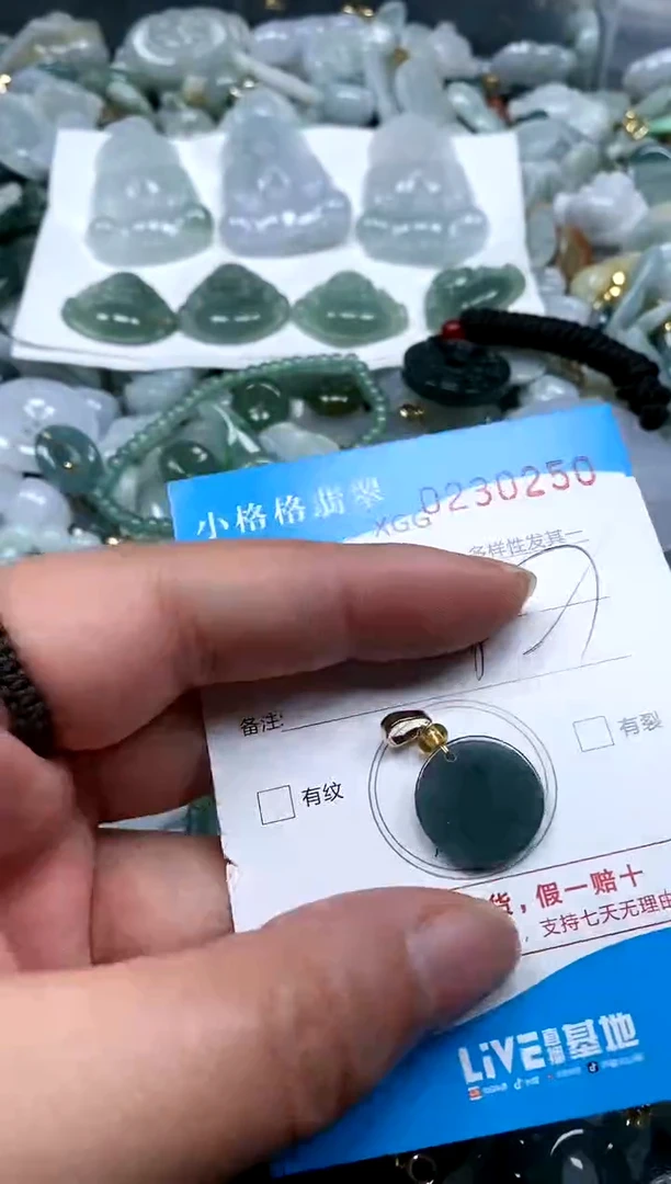 【闪购商品】翡翠颈饰未镶嵌闪购商品0230250多样性