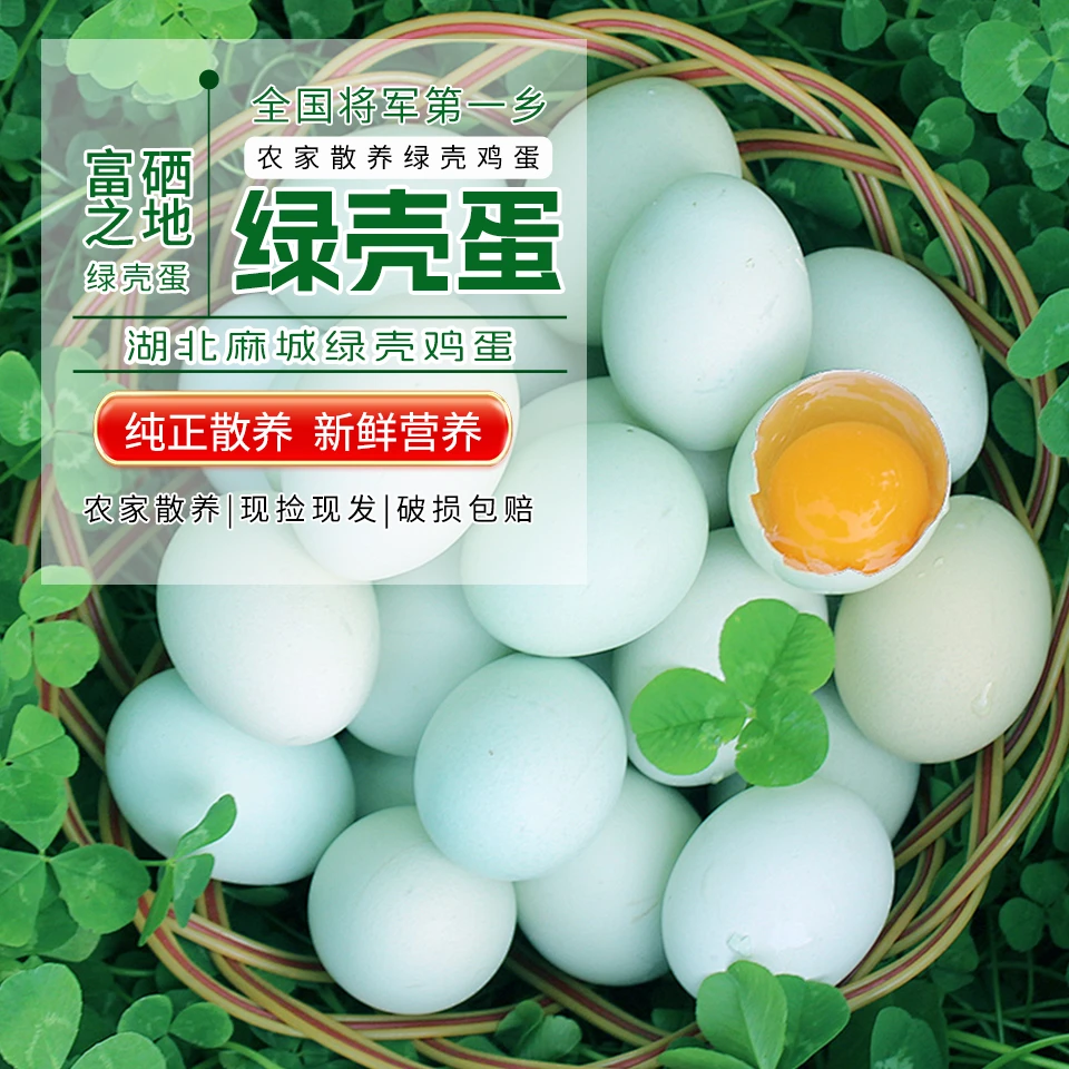 【稀缺50枚绿壳蛋】农家散养绿壳鸡蛋高营养低胆固醇孕妇30-50枚