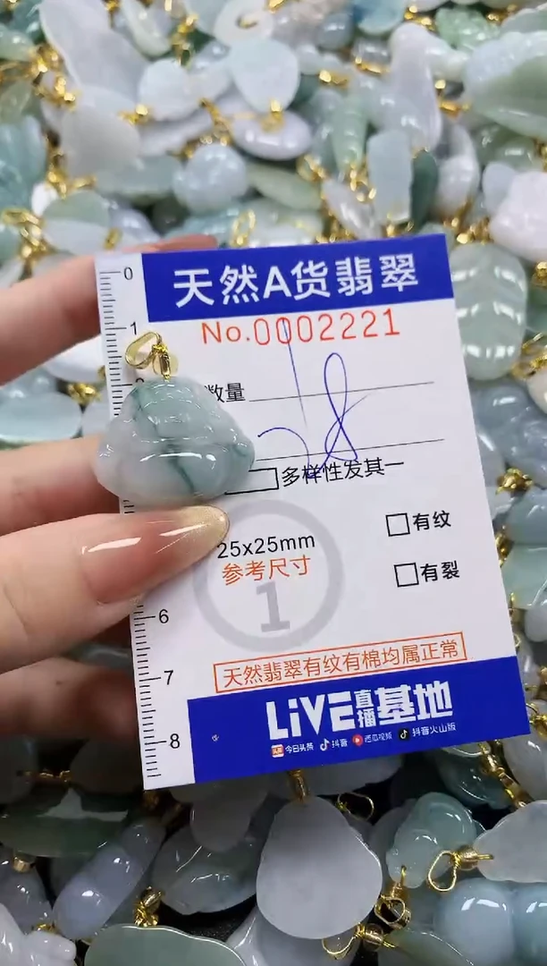 颈饰未镶嵌翡翠天然A货翡翠