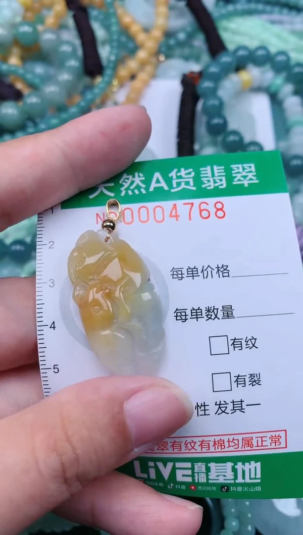 翡翠未镶嵌颈饰.0004768