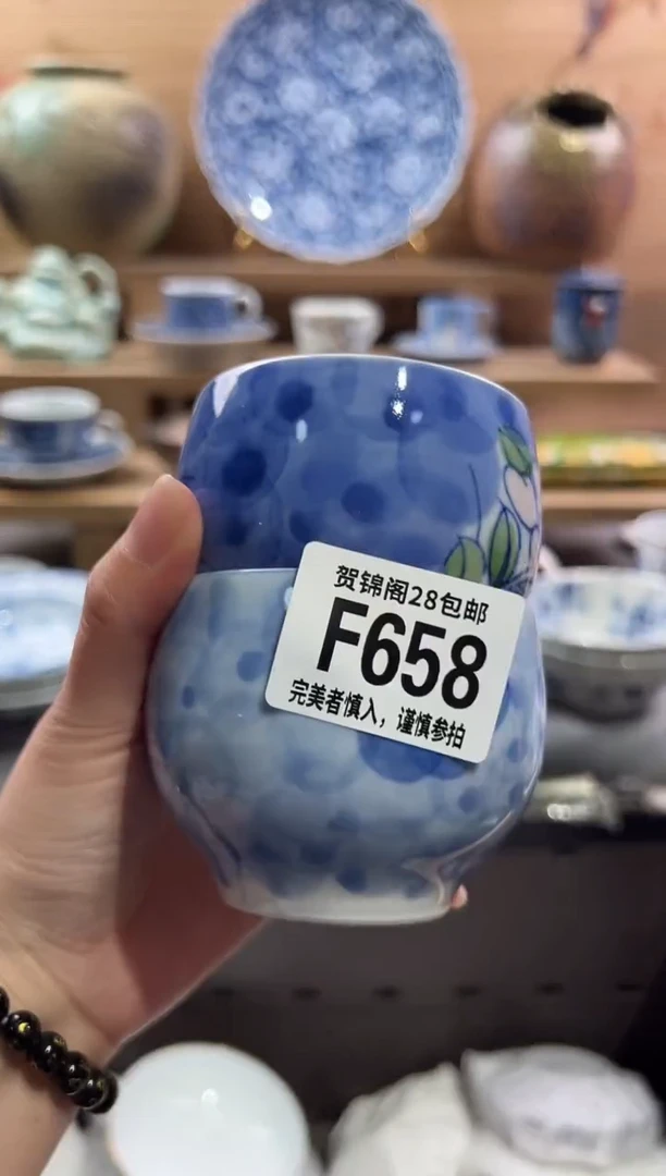 瓷片          F658