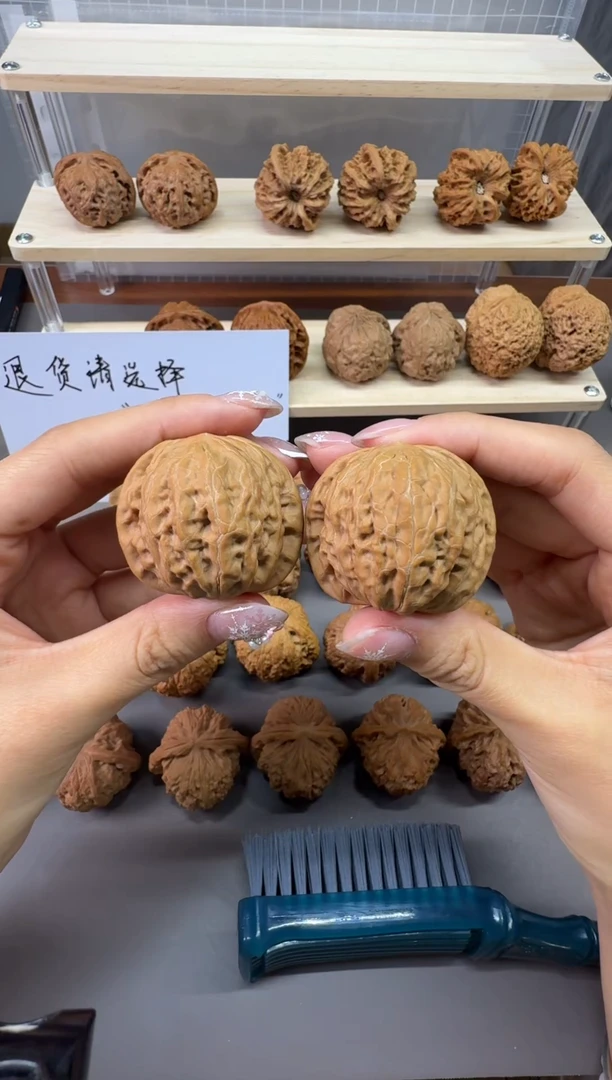 39全品铁锤有黄哦