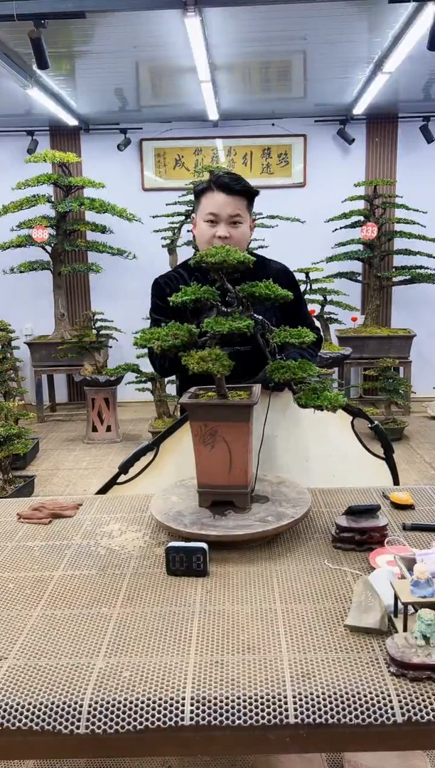 【闪购商品】000000000