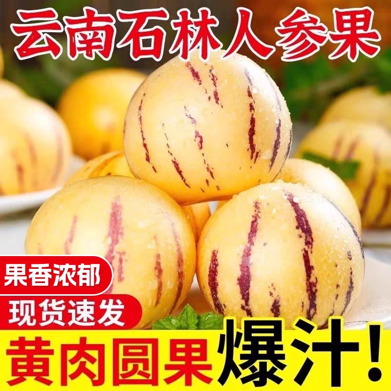 云南人参果 石林七彩圆果新鲜水果生鲜带净重5斤树上自然熟