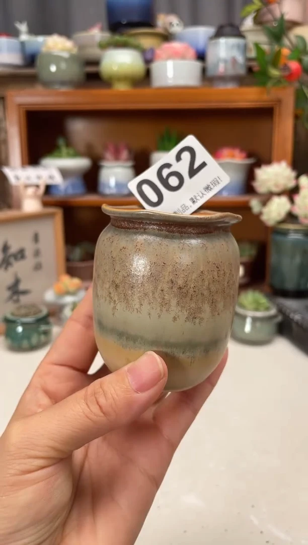 瓷片062知木小芳花盆