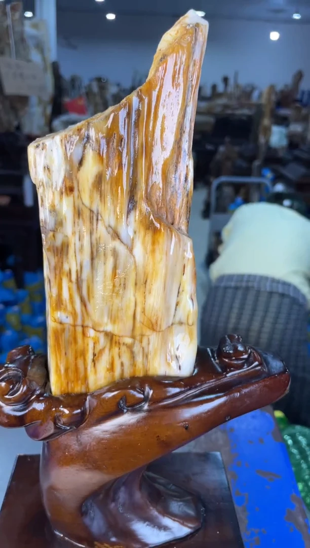 未镶嵌摆件硅化玉11