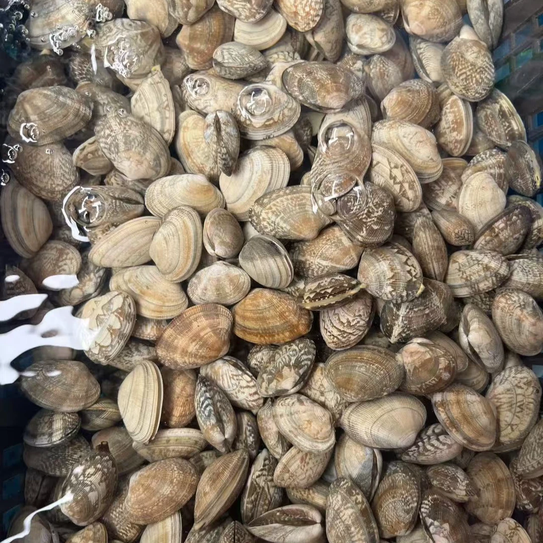 新鲜花甲一斤