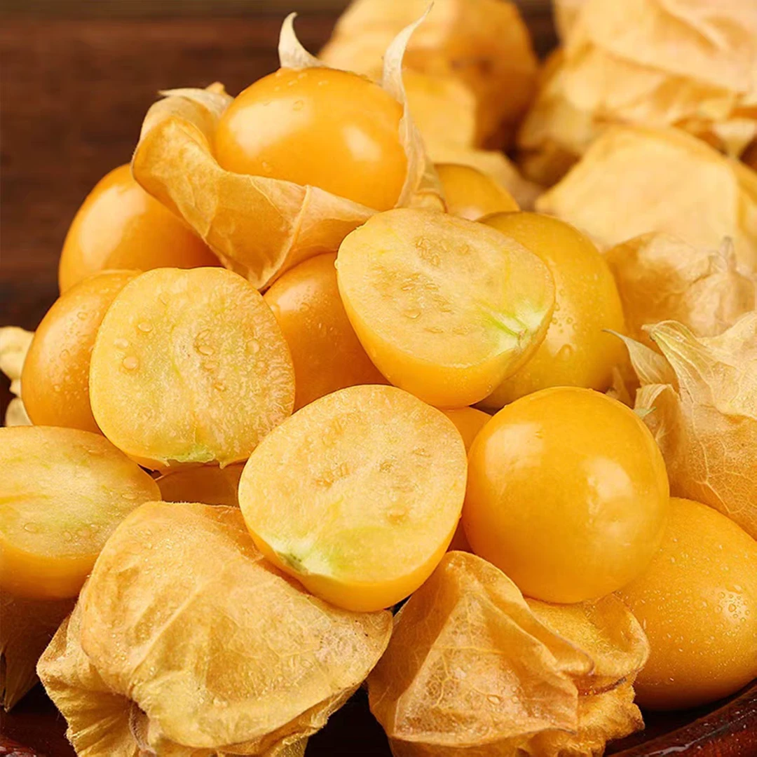 【精品特大号】正宗东北黄菇娘新鲜现摘现发超甜皮薄减*脂水果顺丰