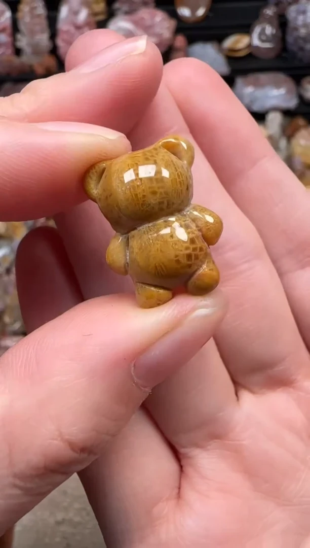 颈饰未镶嵌硅化珊瑚（珊瑚玉）511