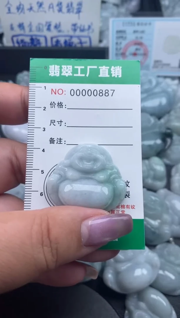 翡翠未镶嵌颈饰缅甸天然A货翡翠0887
