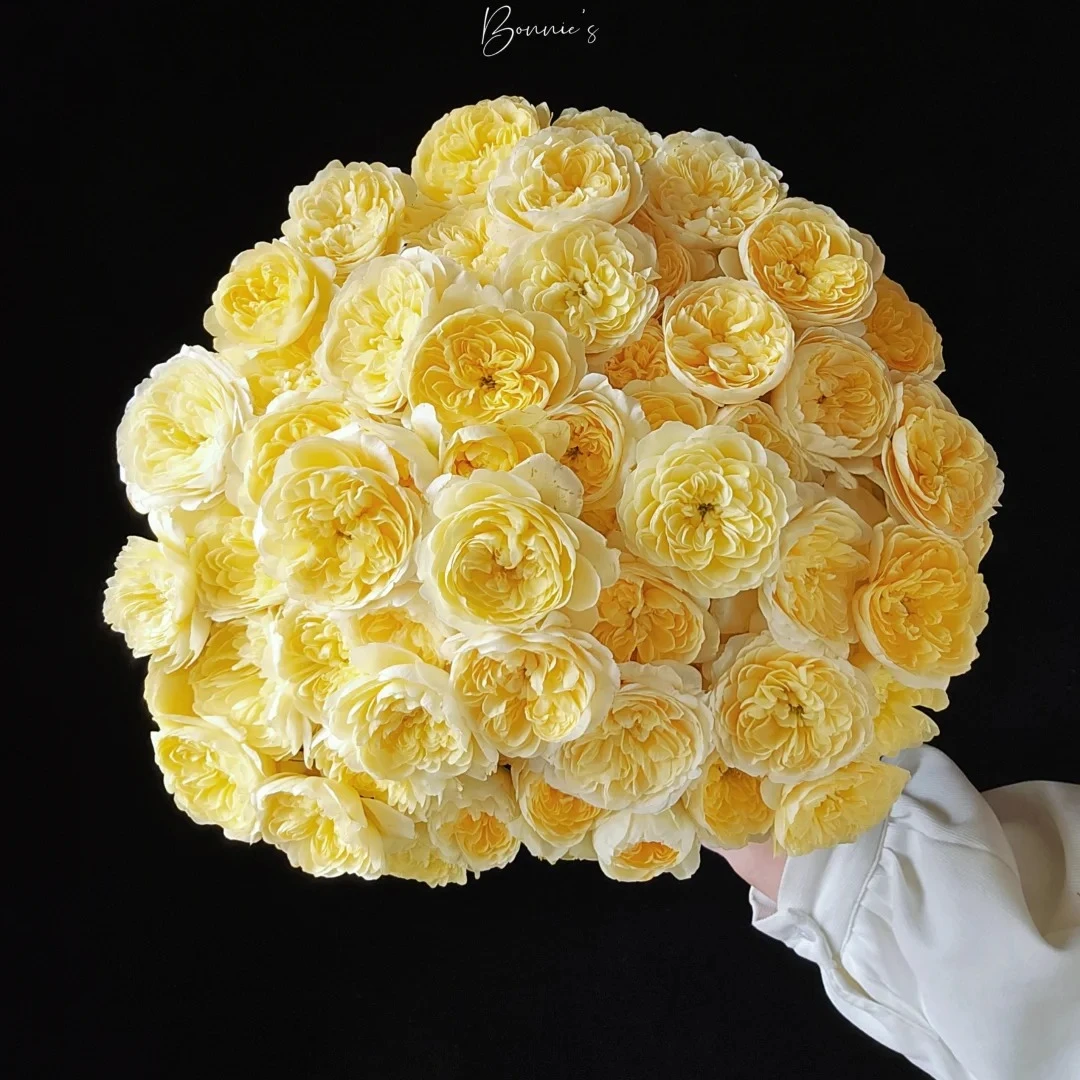 【花汀私享】蜜柚汁阳台-稀有多头玫瑰（有垂感 注意带包装醒花哦~）