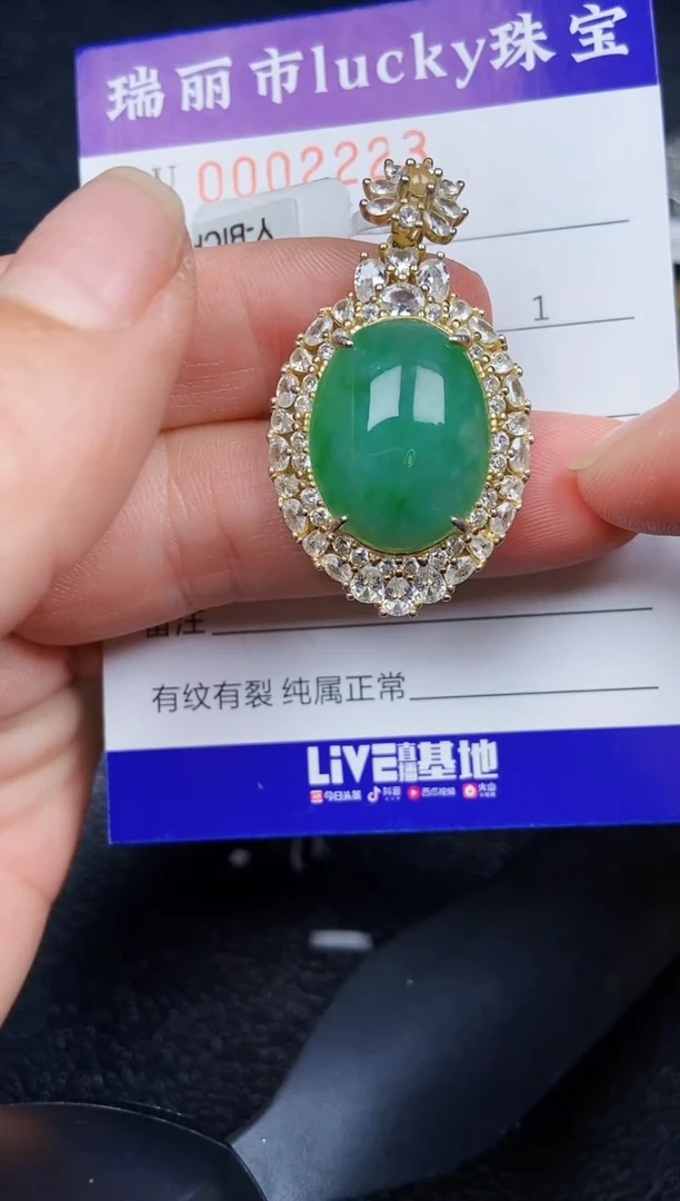 翡翠银S925镶嵌颈饰2223