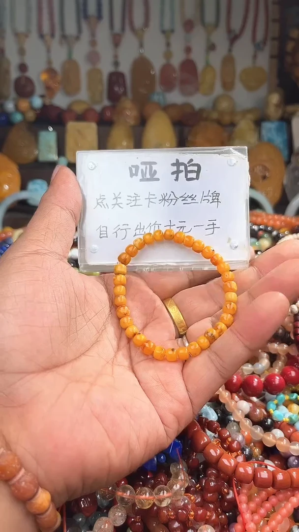 裸石琥珀未镶嵌草*狼 一物一拍 163967