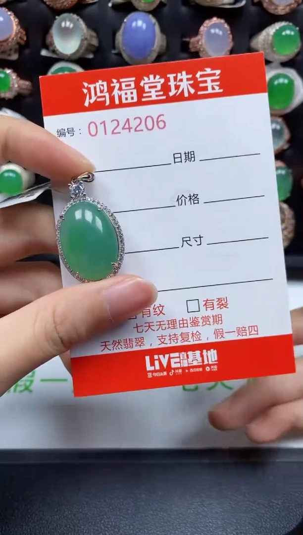颈饰银S925镶嵌翡翠4206