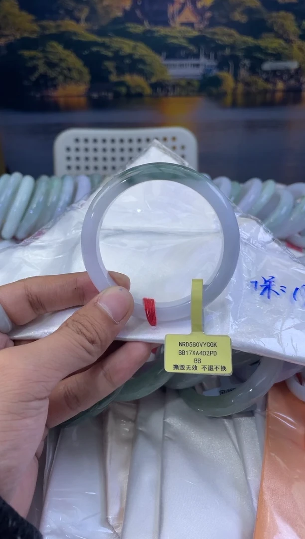 未镶嵌手镯翡翠ℳ****?1