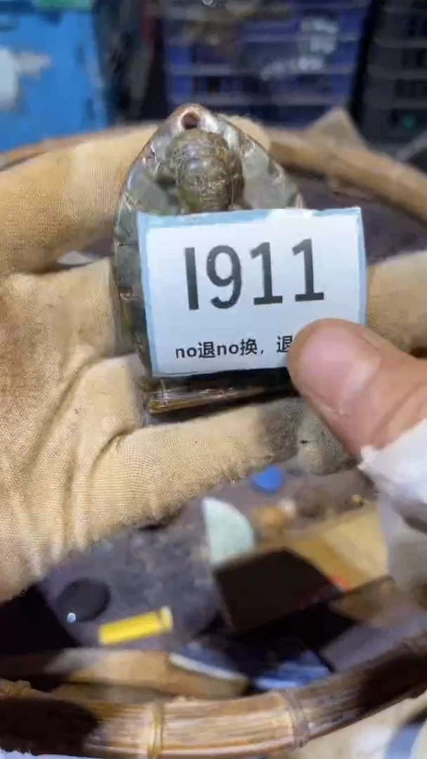 陶瓷洛***外跳直播链接火爆热卖