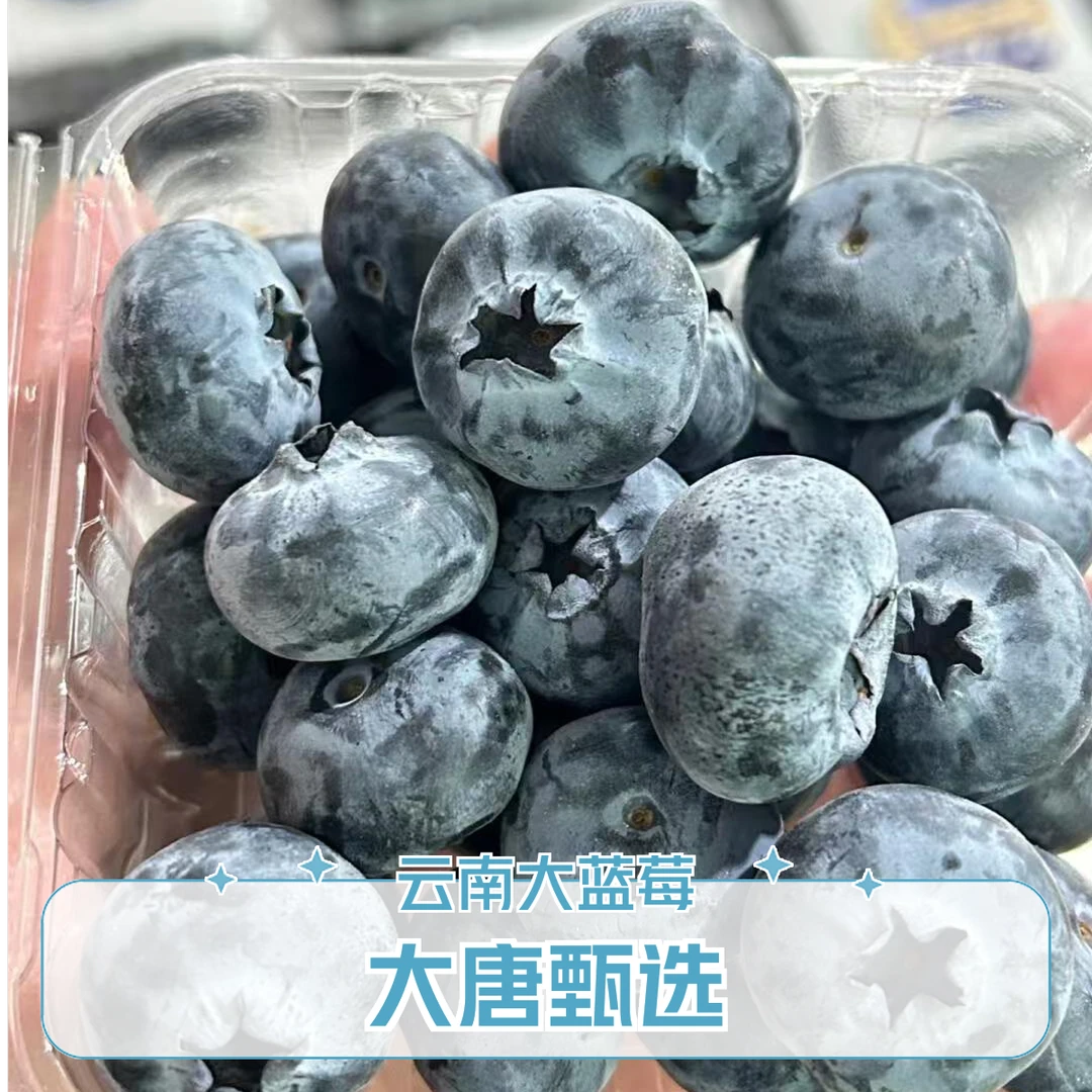 【大唐甄选】云南超大蓝莓(18mm+) 250g/盒