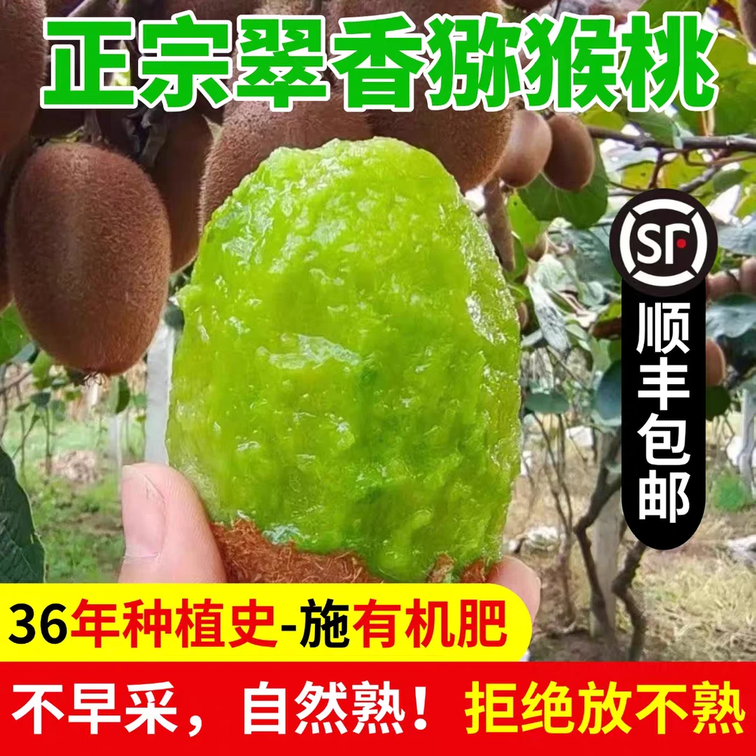 陕西周至翠香猕猴桃正宗陕西特产新鲜多汁香甜维C丰富应季水果