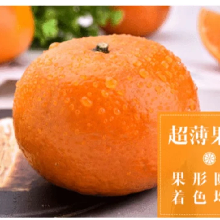 武鸣新鲜有籽沃柑（现摘现发）申通发货