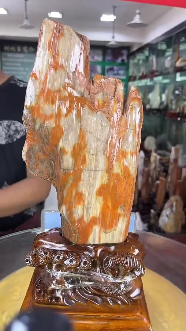 未镶嵌珠宝奇石硅化玉缅甸天然树化玉摆件