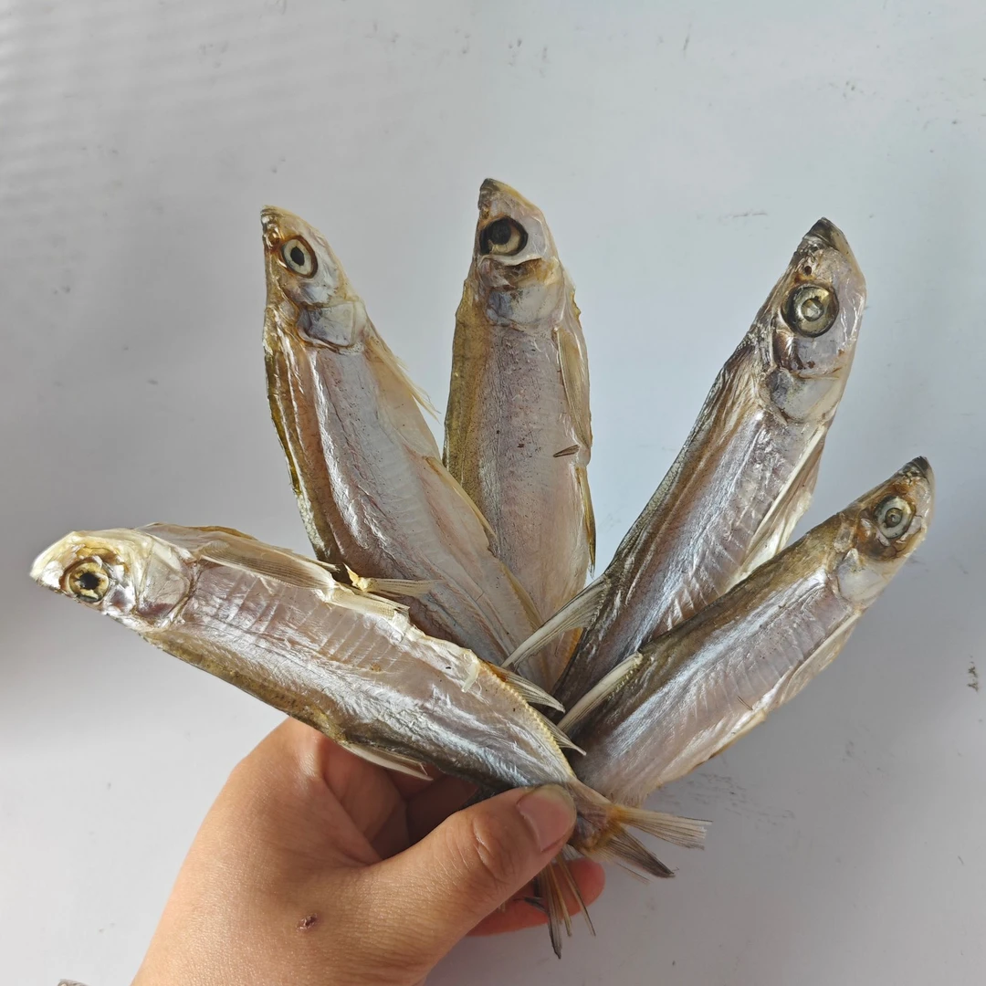 宣城特产淡水湖翘嘴白条餐条咸鱼干