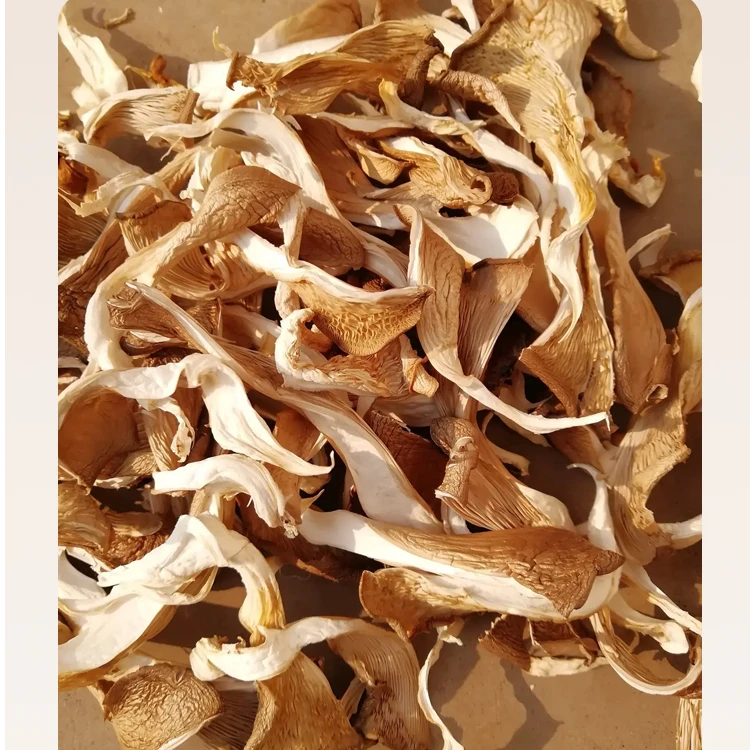 贵州长顺干货土特产黔南山鸡冠菌晒干菌菇500g