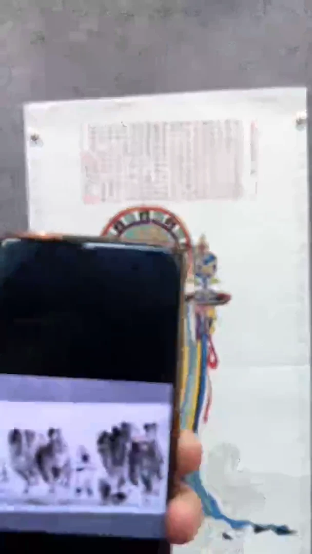 【闪购商品】国画pmw不二轩旗舰店书法LHW12