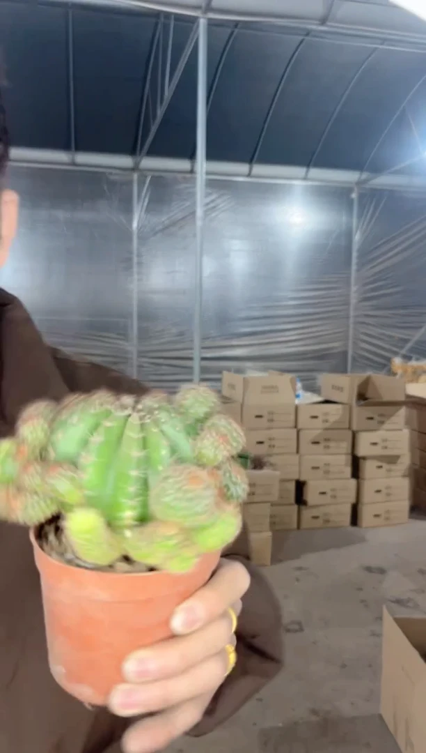 【闪购商品】山脉天际线