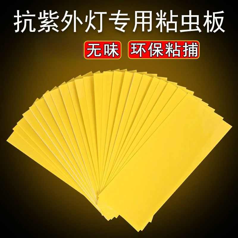 粘纸板灭蝇灯专用粘蝇纸粘虫板灭蝇纸蚊子苍蝇灭蚊户外粘飞虫粘纸