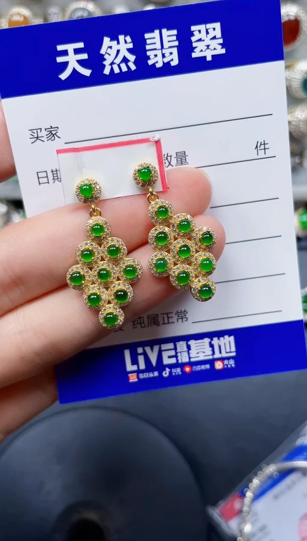 银S925镶嵌翡翠耳饰166