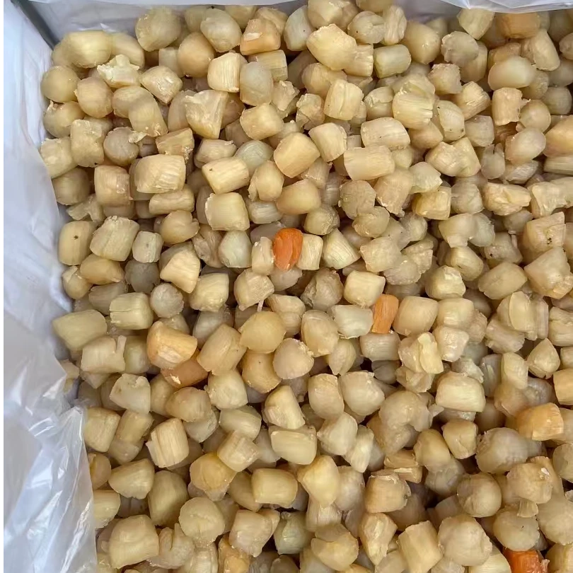 新鲜晾晒福建干贝无盐瑶柱海鲜干货煲汤熬粥