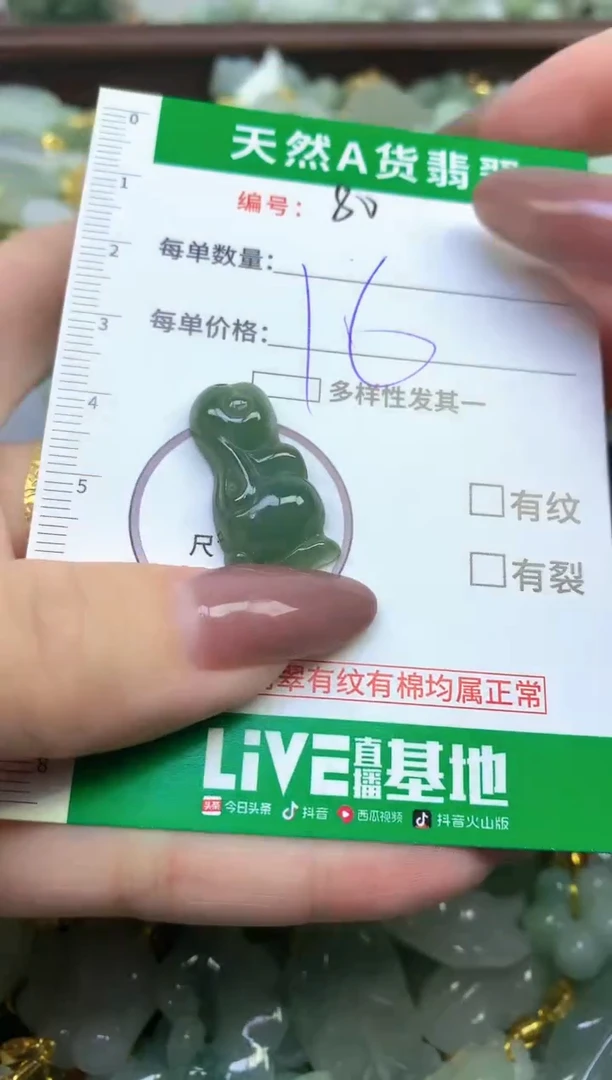 颈饰未镶嵌翡翠纯天然缅甸A货翡翠