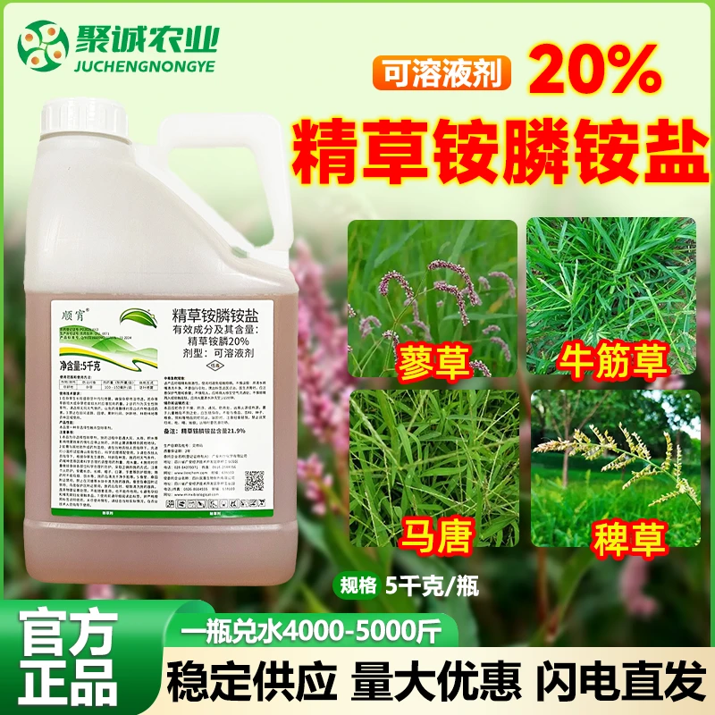 20%精草铵膦铵盐除草剂小飞蓬杂草抗性草牛筋草