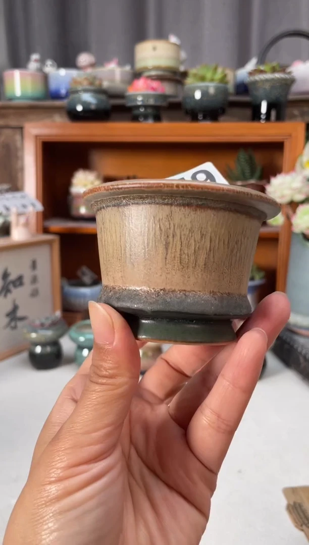 瓷片559小芳直播编号