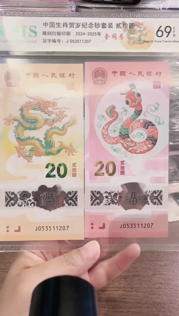 塑料2025龙蛇全同号一对啊啊啊啊啊信泰