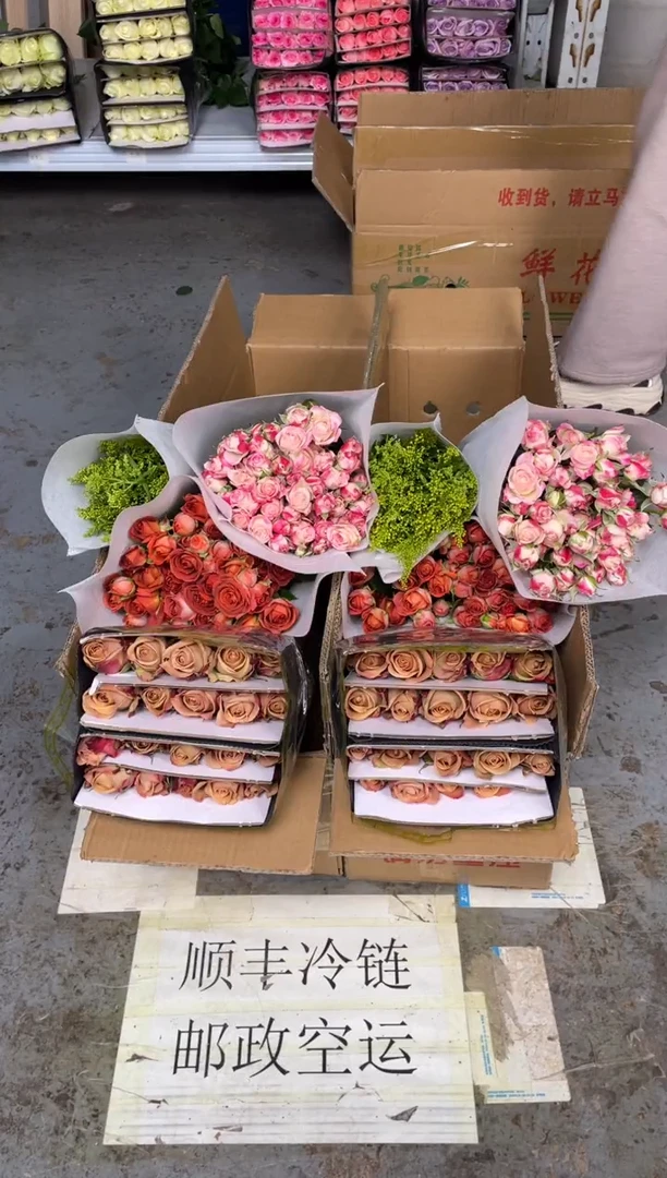 卡布20枝+折射10枝+巧克力10枝+黄莺