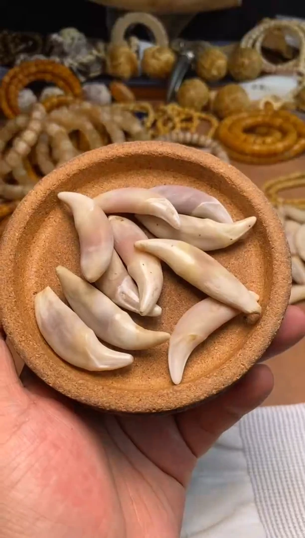 其他牛骨杂件397-血牙吊坠